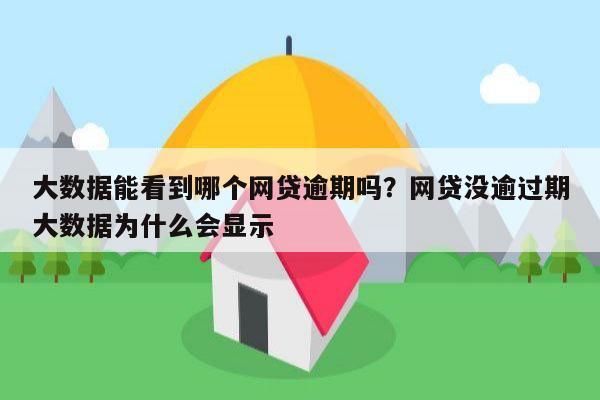 大数据能看到哪个网贷逾期吗?网贷没逾过期大数据为什么会显示