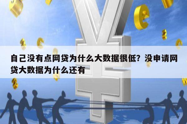 自己没有点网贷为什么大数据很低?没申请网贷大数据为什么还有