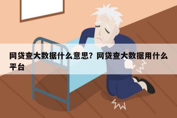 网贷查大数据什么意思?网贷查大数据用什么平台