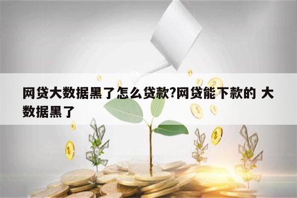 网贷大数据黑了怎么贷款?网贷能下款的 大数据黑了