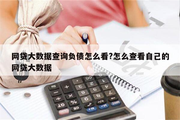 网贷大数据查询负债怎么看?怎么查看自己的网贷大数据