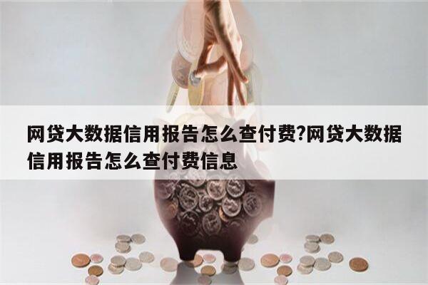 网贷大数据信用报告怎么查付费?网贷大数据信用报告怎么查付费信息