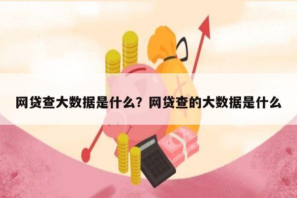 网贷查大数据是什么?网贷查的大数据是什么