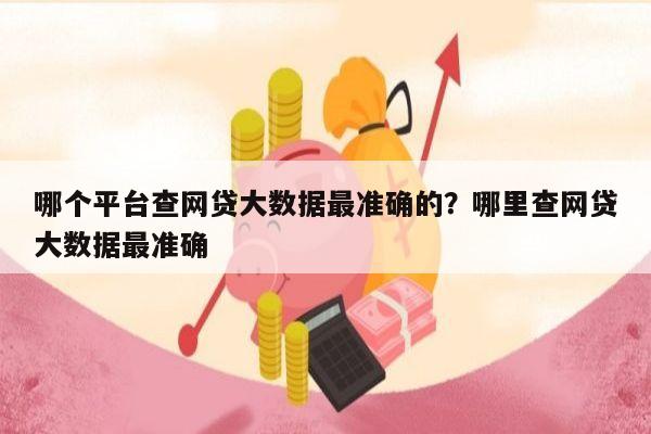 哪个平台查网贷大数据最准确的?哪里查网贷大数据最准确