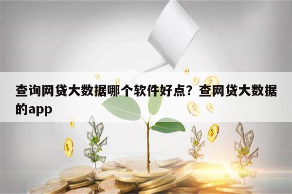 查询网贷大数据哪个软件好点?查网贷大数据的app