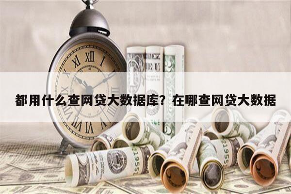 都用什么查网贷大数据库?在哪查网贷大数据