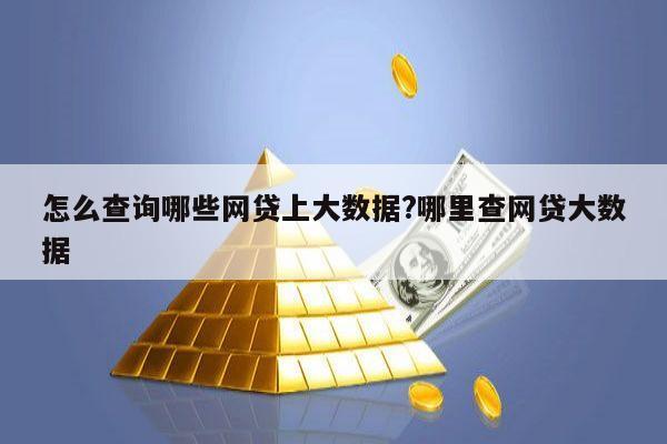 怎么查询哪些网贷上大数据?哪里查网贷大数据