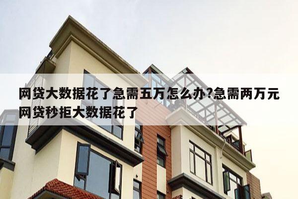 网贷大数据花了急需五万怎么办?急需两万元网贷秒拒大数据花了