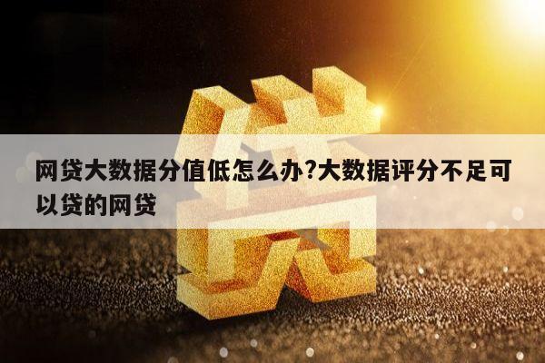 网贷大数据分值低怎么办?大数据评分不足可以贷的网贷