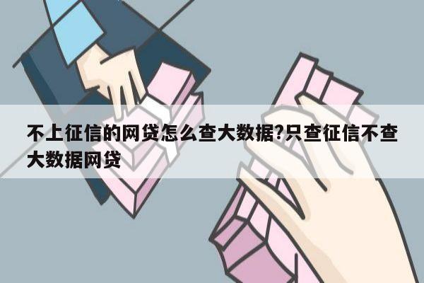 不上征信的网贷怎么查大数据?只查征信不查大数据网贷