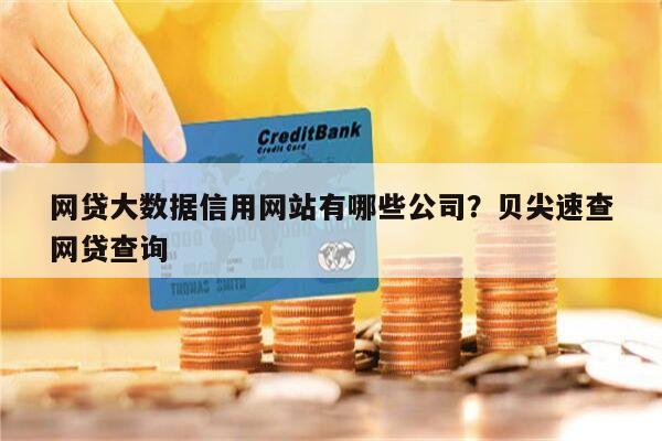 网贷大数据信用网站有哪些公司?贝尖速查
网贷查询