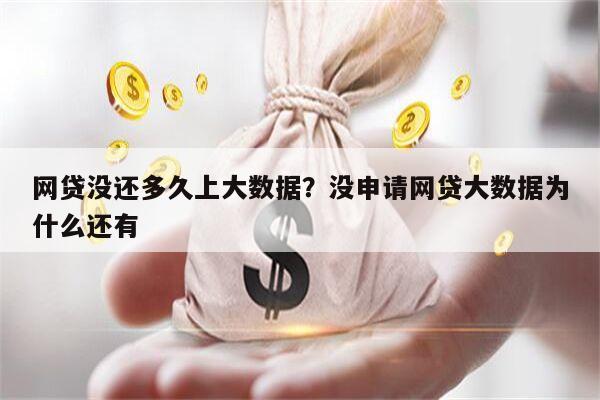 网贷没还多久上大数据?没申请网贷大数据为什么还有