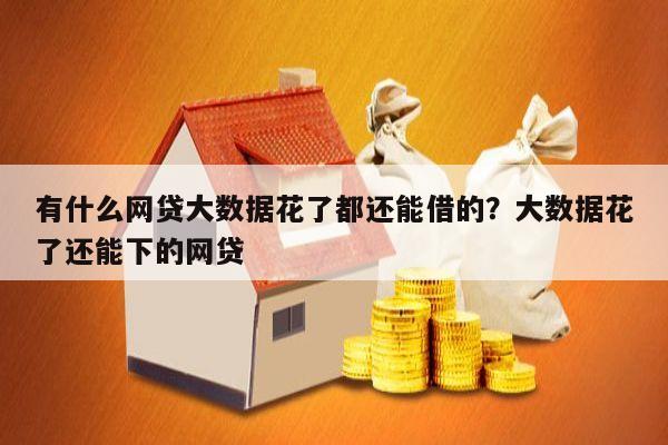 有什么网贷大数据花了都还能借的?大数据花了还能下的网贷