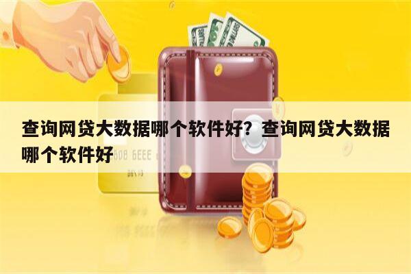 查询网贷大数据哪个软件好?查询网贷大数据哪个软件好