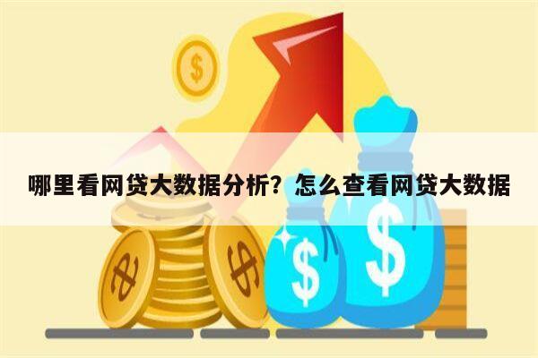 哪里看网贷大数据分析?怎么查看网贷大数据