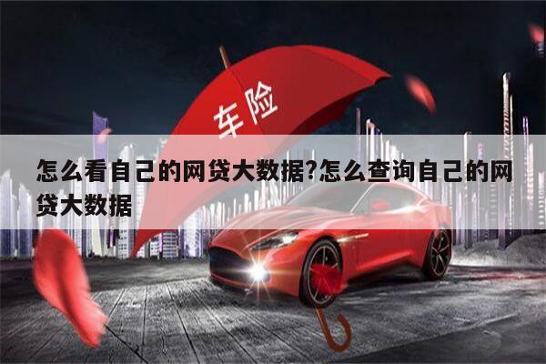 怎么看自己的网贷大数据?怎么查询自己的网贷大数据
