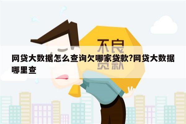 网贷大数据怎么查询欠哪家贷款?网贷大数据哪里查