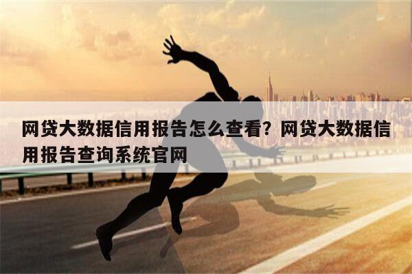 网贷大数据信用报告怎么查看？网贷大数据信用报告查询系统官网