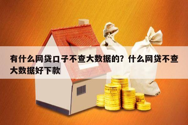 有什么网贷口子不查大数据的?什么网贷不查大数据好下款