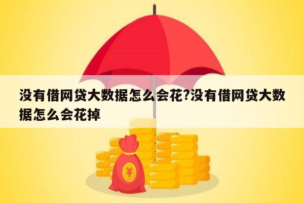 没有借网贷大数据怎么会花?没有借网贷大数据怎么会花掉