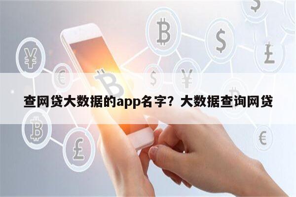 查网贷大数据的app名字?大数据查询网贷