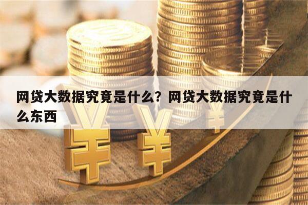 网贷大数据究竟是什么?网贷大数据究竟是什么东西