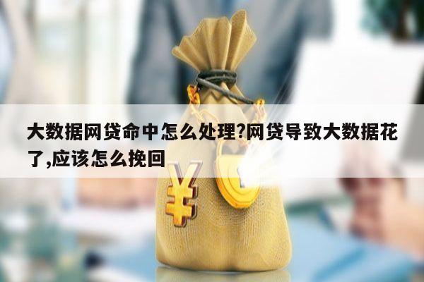 大数据网贷命中怎么处理?网贷导致大数据花了,应该怎么挽回