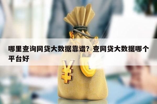 哪里查询网贷大数据靠谱?查网贷大数据哪个平台好