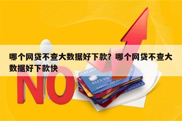 哪个网贷不查大数据好下款?哪个网贷不查大数据好下款快