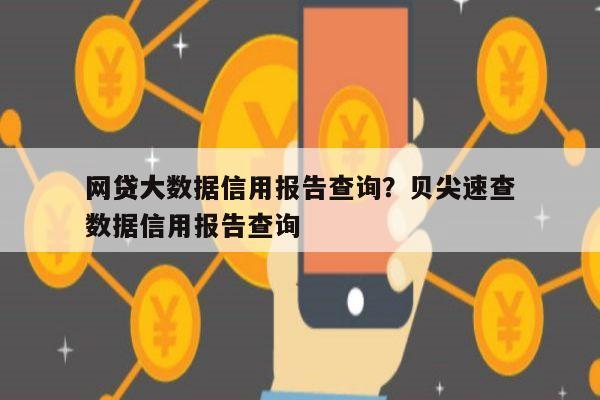 网贷大数据信用报告查询?贝尖速查
网贷大数据信用报告查询