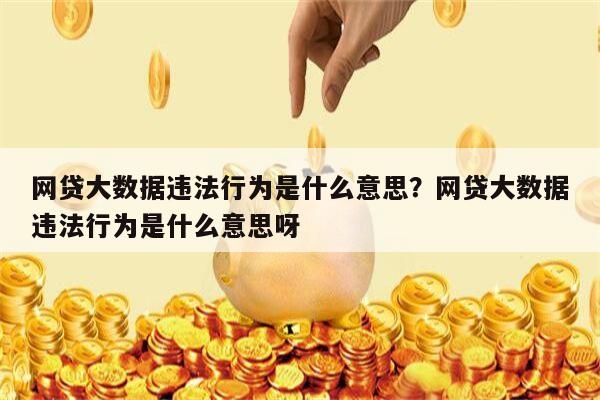 网贷大数据违法行为是什么意思?网贷大数据违法行为是什么意思呀