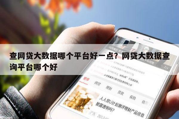 查网贷大数据哪个平台好一点?网贷大数据查询平台哪个好