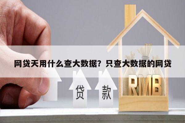 网贷天用什么查大数据?只查大数据的网贷