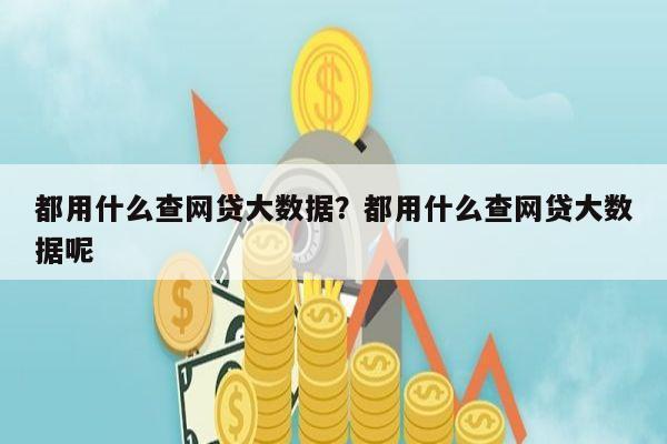 都用什么查网贷大数据?都用什么查网贷大数据呢