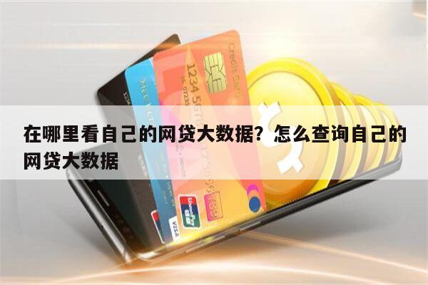 在哪里看自己的网贷大数据?怎么查询自己的网贷大数据