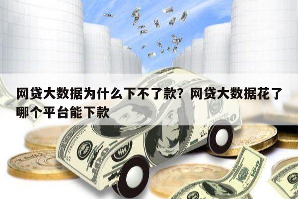 网贷大数据为什么下不了款?网贷大数据花了哪个平台能下款