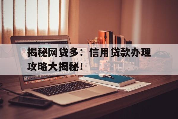 揭秘网贷多:信用贷款办理攻略大揭秘!