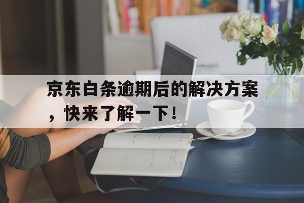 京东白条逾期后的解决方案,快来了解一下!