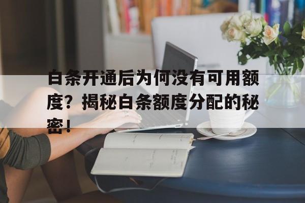 白条开通后为何没有可用额度?揭秘白条额度分配的秘密!