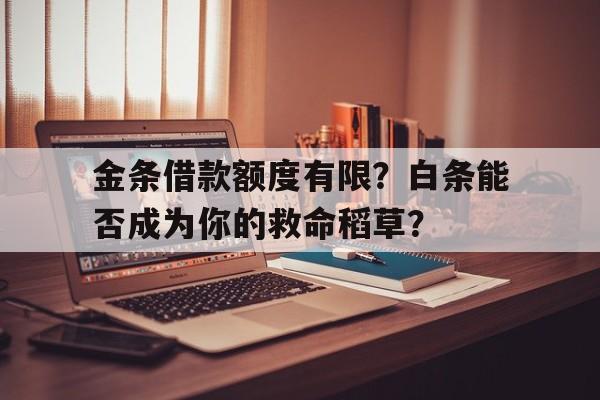 金条借款额度有限?白条能否成为你的救命稻草?