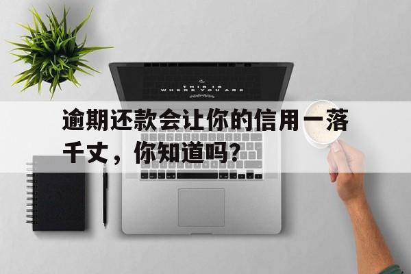 逾期还款会让你的信用一落千丈，你知道吗？